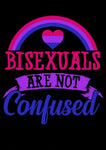 Affiche LGBT fierté