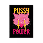 affiche feministe pussy power