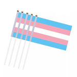 drapeau Lgbt transgenre petit format